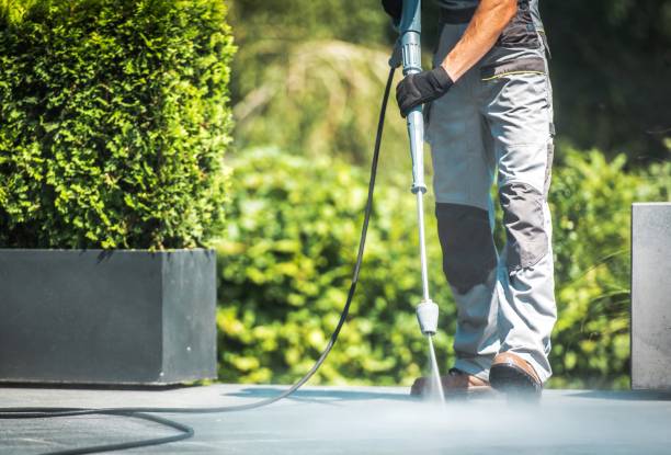 Best Roof Washing  in Cottonwood, ID