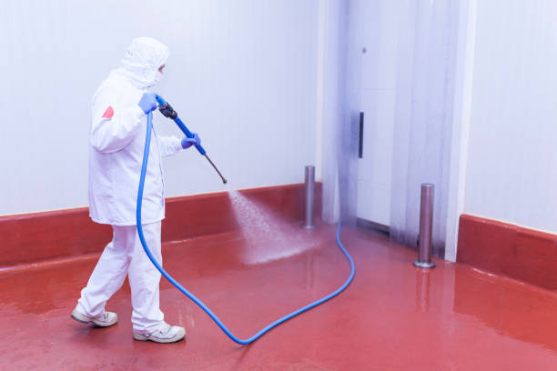 Best Factory Floor Cleaning  in Cottonwood, ID